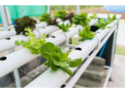 Aluminum profiles in hydroponic system projects