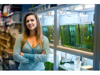 Application of aluminum profile for creating an aquarium frame